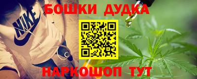 крисы Дубна