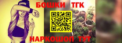 крисы Дубна